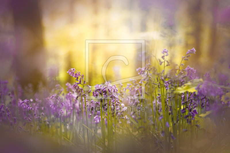 frei w&auml;hlbarer Bildausschnitt f&uuml;r Ihr Bild auf Schieferplatte