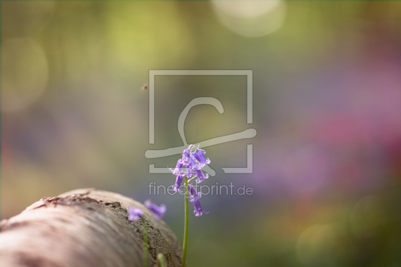 frei w&auml;hlbarer Bildausschnitt f&uuml;r Ihr Bild auf Schieferplatte