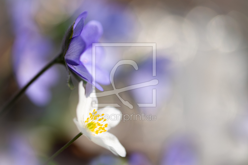 frei w&auml;hlbarer Bildausschnitt f&uuml;r Ihr Bild auf Schieferplatte