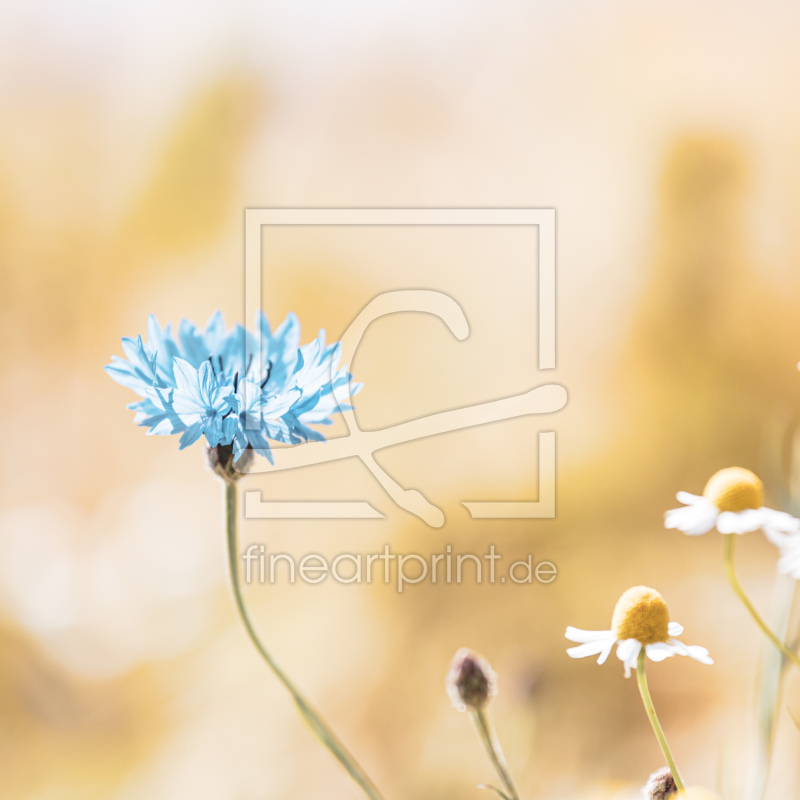 frei w&auml;hlbarer Bildausschnitt f&uuml;r Ihr Bild auf Schieferplatte