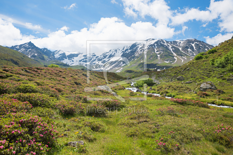 frei w&auml;hlbarer Bildausschnitt f&uuml;r Ihr Bild auf Schieferplatte