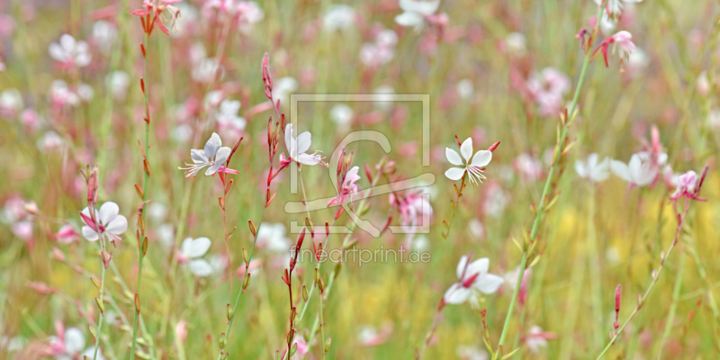 frei w&auml;hlbarer Bildausschnitt f&uuml;r Ihr Bild auf Schieferplatte