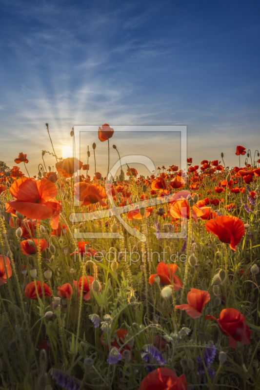 frei w&auml;hlbarer Bildausschnitt f&uuml;r Ihr Bild auf Schieferplatte