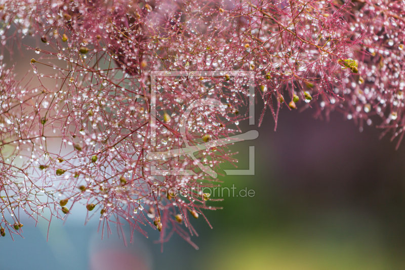 frei w&auml;hlbarer Bildausschnitt f&uuml;r Ihr Bild auf Schieferplatte