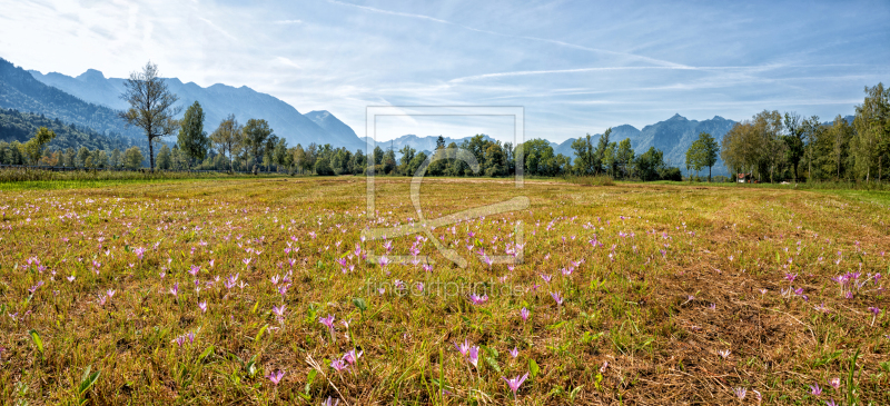 frei wählbarer Bildausschnitt für Ihr Bild auf Schieferplatte