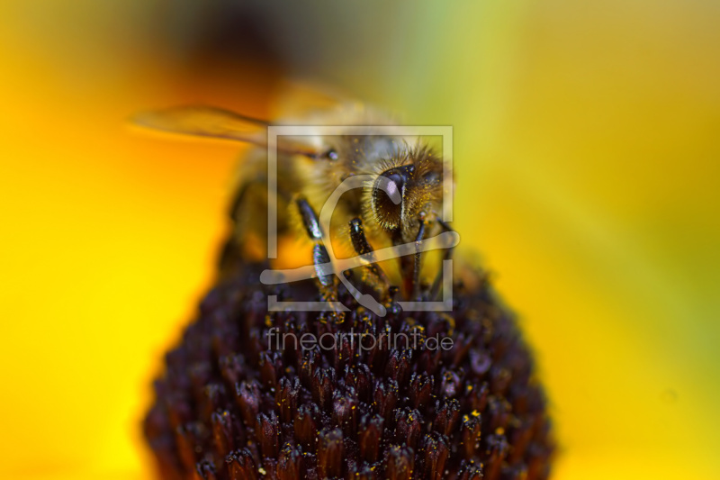 frei w&auml;hlbarer Bildausschnitt f&uuml;r Ihr Bild auf Schieferplatte