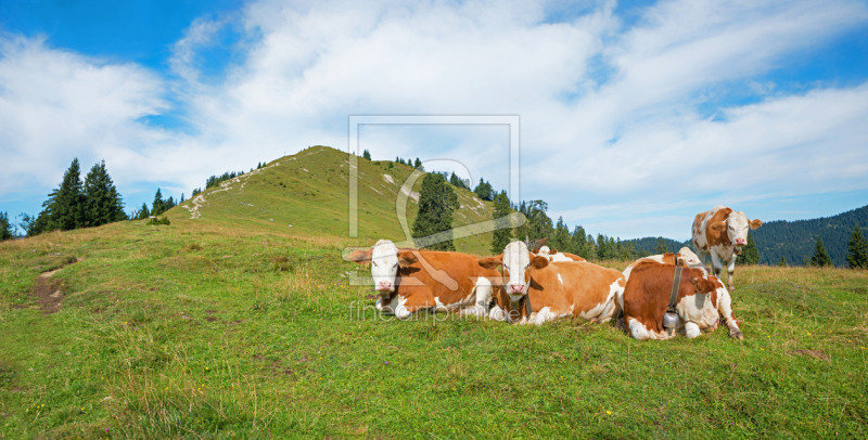 frei wählbarer Bildausschnitt für Ihr Bild auf Schieferplatte