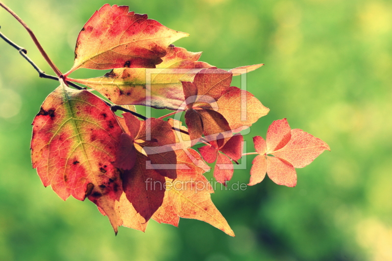 frei w&auml;hlbarer Bildausschnitt f&uuml;r Ihr Bild auf Schieferplatte