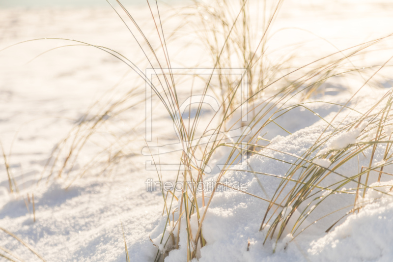 frei w&auml;hlbarer Bildausschnitt f&uuml;r Ihr Bild auf Schieferplatte