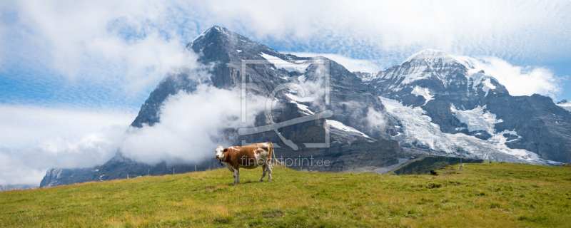 frei wählbarer Bildausschnitt für Ihr Bild auf Schieferplatte