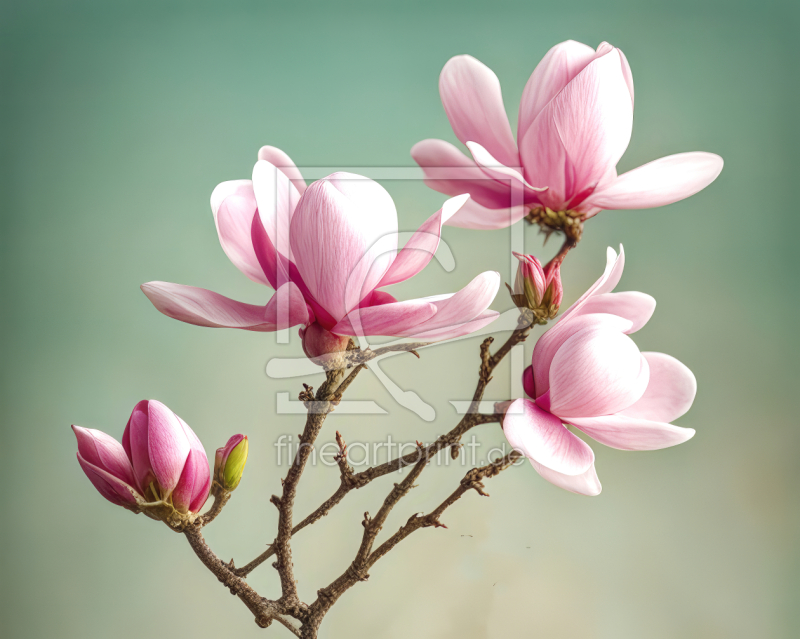 frei w&auml;hlbarer Bildausschnitt f&uuml;r Ihr Bild auf Schieferplatte