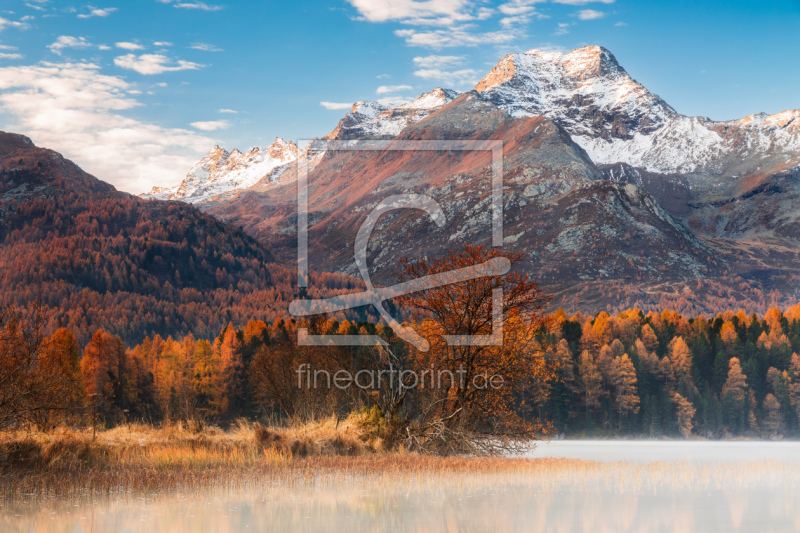 frei wählbarer Bildausschnitt für Ihr Bild auf Schieferplatte