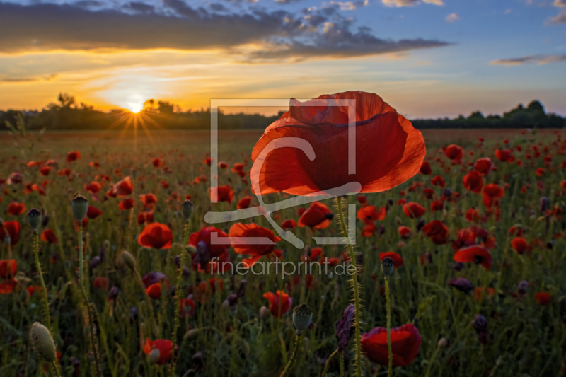 frei w&auml;hlbarer Bildausschnitt f&uuml;r Ihr Bild auf Schieferplatte