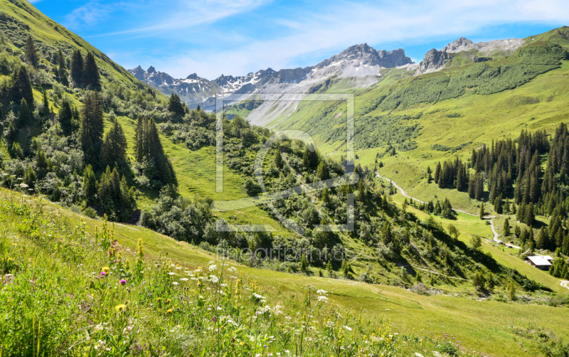 frei wählbarer Bildausschnitt für Ihr Bild auf Schieferplatte