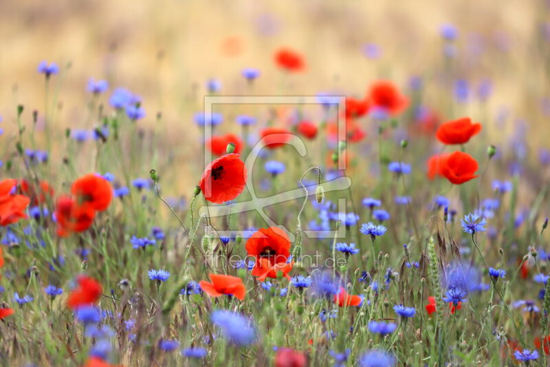 frei w&auml;hlbarer Bildausschnitt f&uuml;r Ihr Bild auf Schieferplatte