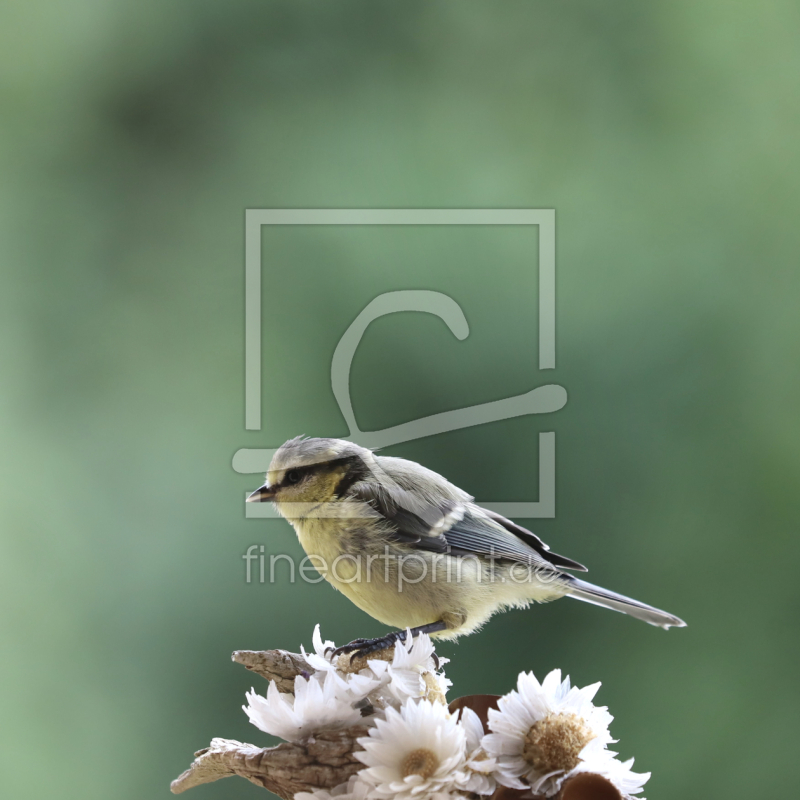 frei w&auml;hlbarer Bildausschnitt f&uuml;r Ihr Bild auf Schieferplatte
