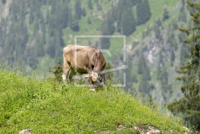 frei wählbarer Bildausschnitt für Ihr Bild auf Schieferplatte