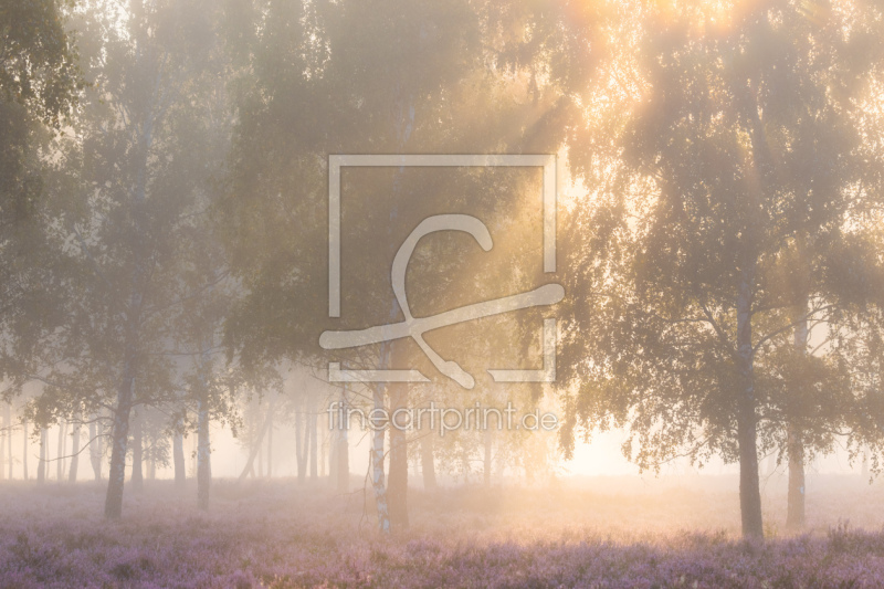 frei w&auml;hlbarer Bildausschnitt f&uuml;r Ihr Bild auf Schieferplatte