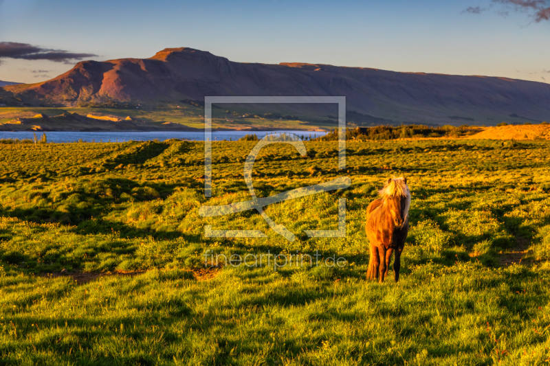 frei w&auml;hlbarer Bildausschnitt f&uuml;r Ihr Bild auf Schieferplatte