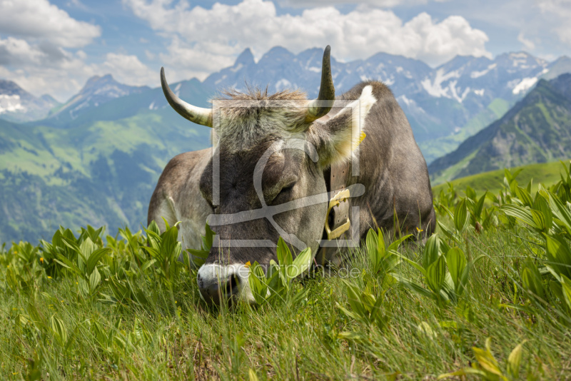 frei wählbarer Bildausschnitt für Ihr Bild auf Schieferplatte