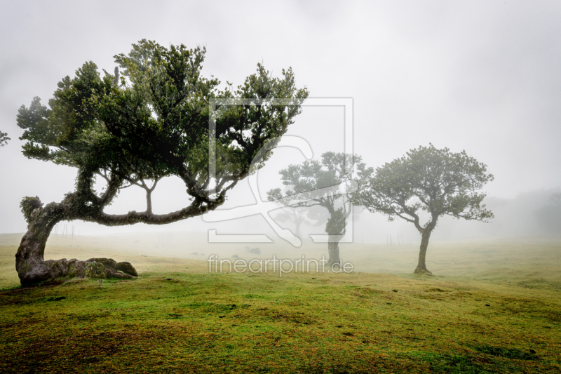 frei w&auml;hlbarer Bildausschnitt f&uuml;r Ihr Bild auf Schieferplatte