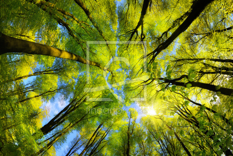 frei w&auml;hlbarer Bildausschnitt f&uuml;r Ihr Bild auf Schieferplatte