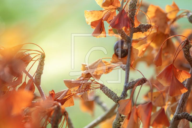 frei w&auml;hlbarer Bildausschnitt f&uuml;r Ihr Bild auf Schieferplatte