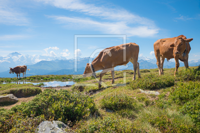 frei wählbarer Bildausschnitt für Ihr Bild auf Schieferplatte