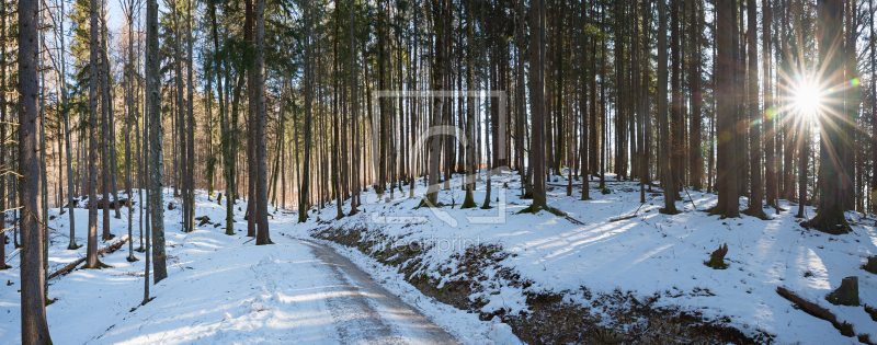 frei wählbarer Bildausschnitt für Ihr Bild auf Schieferplatte
