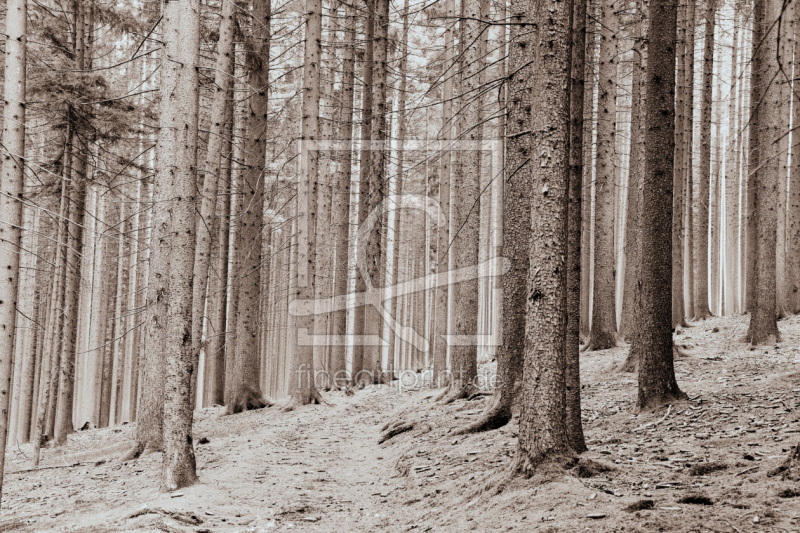 frei w&auml;hlbarer Bildausschnitt f&uuml;r Ihr Bild auf Schieferplatte