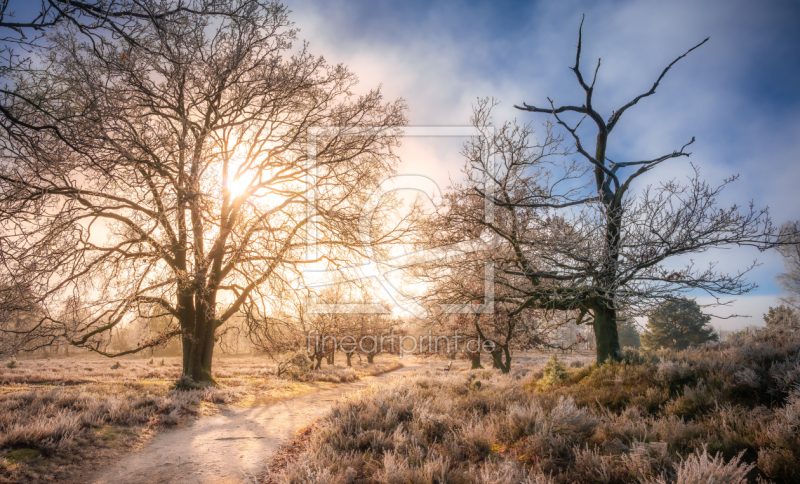 frei w&auml;hlbarer Bildausschnitt f&uuml;r Ihr Bild auf Schieferplatte