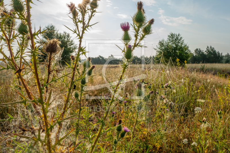 frei w&auml;hlbarer Bildausschnitt f&uuml;r Ihr Bild auf Schieferplatte