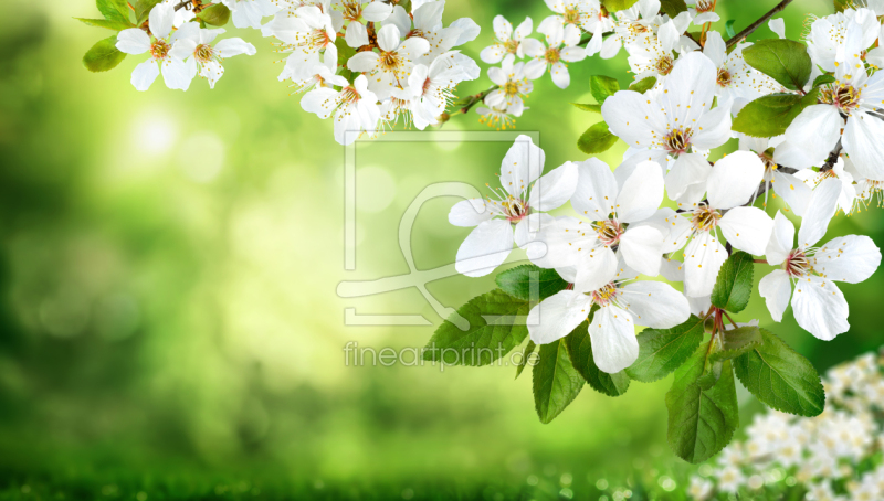 frei wählbarer Bildausschnitt für Ihr Bild auf Schieferplatte