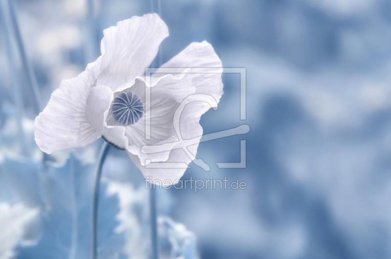 frei w&auml;hlbarer Bildausschnitt f&uuml;r Ihr Bild auf Schieferplatte