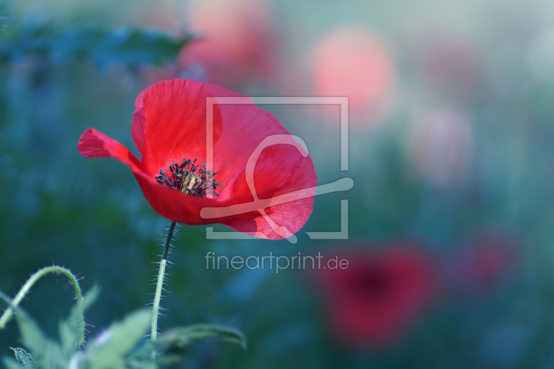 frei w&auml;hlbarer Bildausschnitt f&uuml;r Ihr Bild auf Schieferplatte
