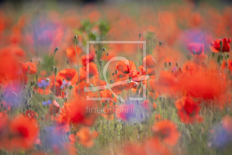 frei w&auml;hlbarer Bildausschnitt f&uuml;r Ihr Bild auf Schieferplatte