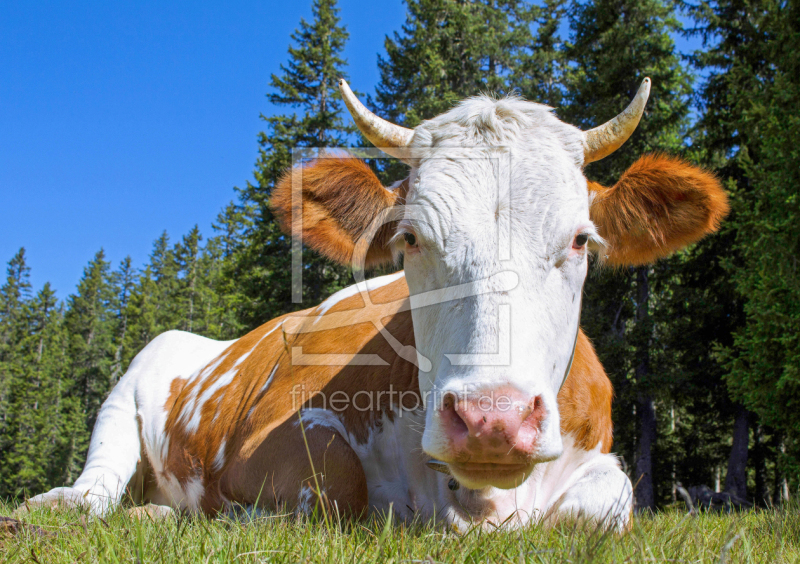 frei w&auml;hlbarer Bildausschnitt f&uuml;r Ihr Bild auf Schieferplatte
