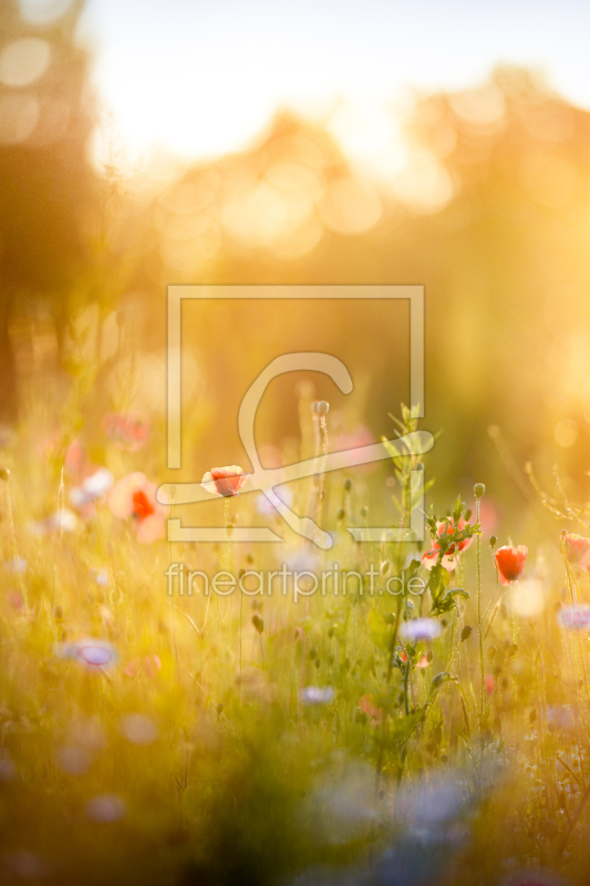 frei w&auml;hlbarer Bildausschnitt f&uuml;r Ihr Bild auf Schieferplatte