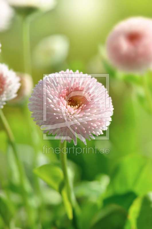 frei w&auml;hlbarer Bildausschnitt f&uuml;r Ihr Bild auf Schieferplatte
