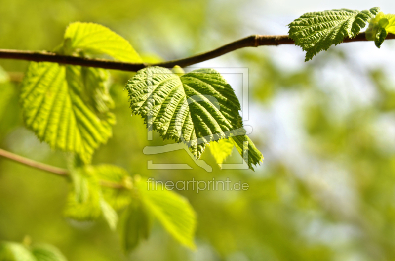 frei w&auml;hlbarer Bildausschnitt f&uuml;r Ihr Bild auf Schieferplatte
