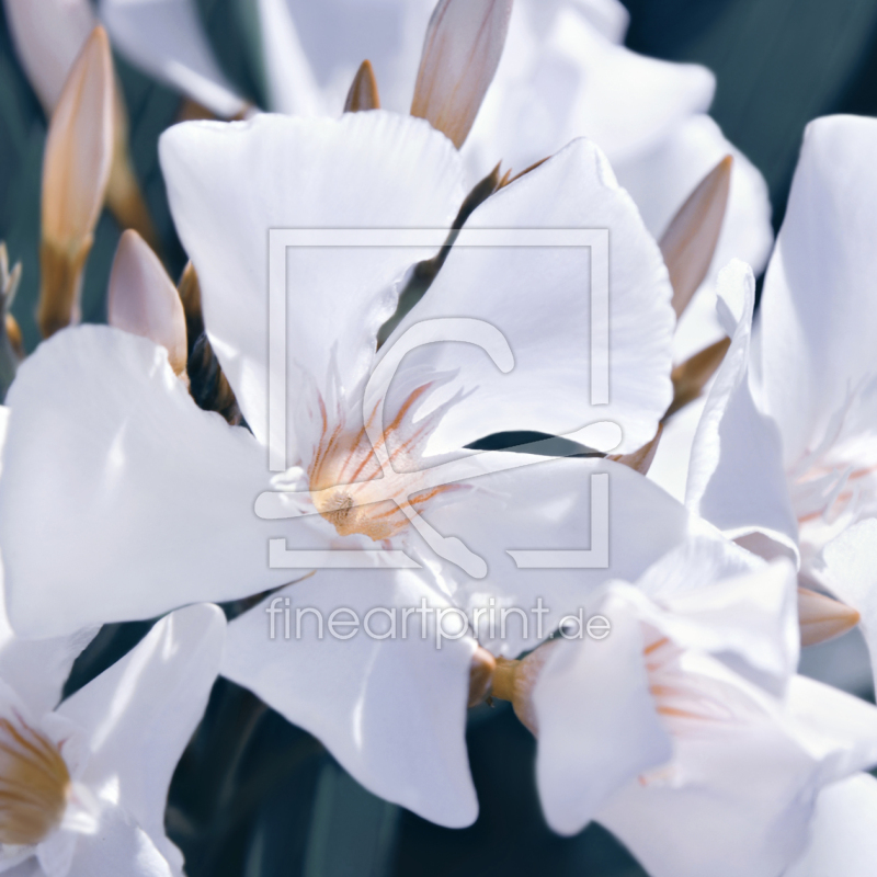 frei w&auml;hlbarer Bildausschnitt f&uuml;r Ihr Bild auf Schieferplatte