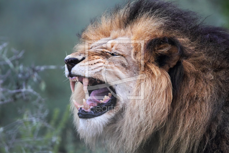 frei w&auml;hlbarer Bildausschnitt f&uuml;r Ihr Bild auf Schieferplatte