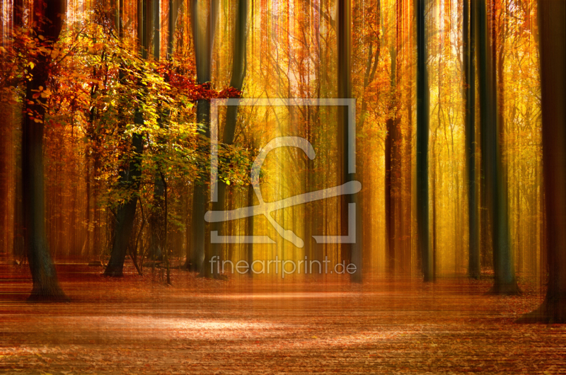 frei w&auml;hlbarer Bildausschnitt f&uuml;r Ihr Bild auf Schieferplatte