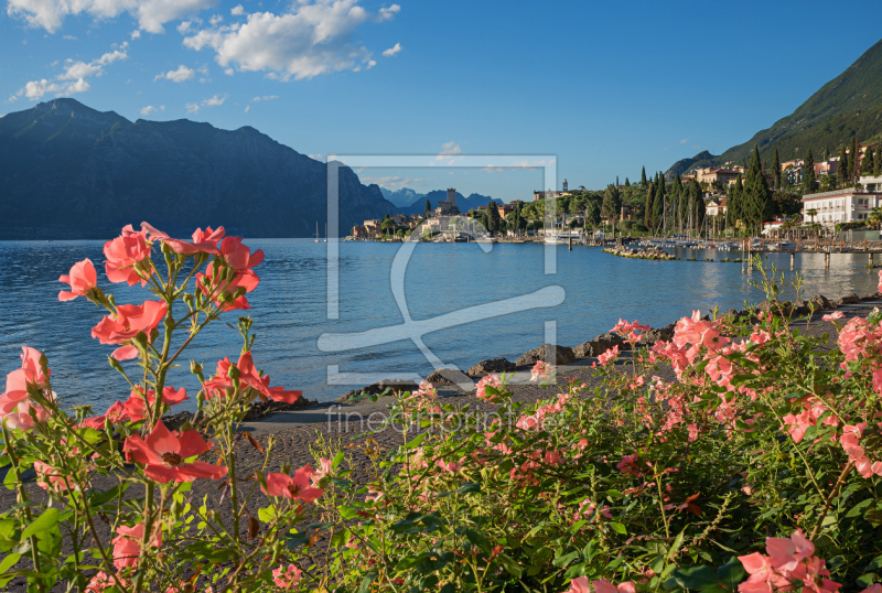 frei w&auml;hlbarer Bildausschnitt f&uuml;r Ihr Bild auf Schieferplatte