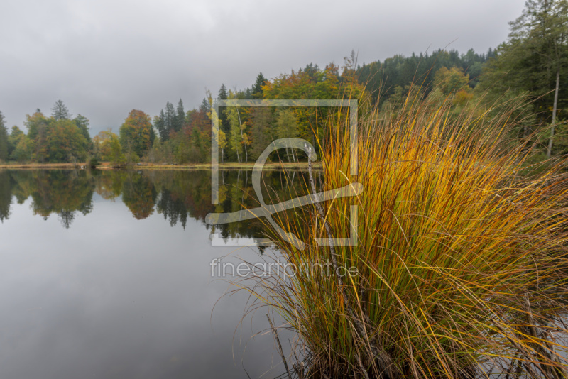 frei w&auml;hlbarer Bildausschnitt f&uuml;r Ihr Bild auf Schieferplatte