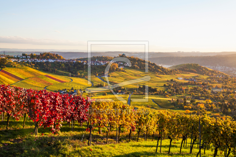 frei w&auml;hlbarer Bildausschnitt f&uuml;r Ihr Bild auf Schieferplatte