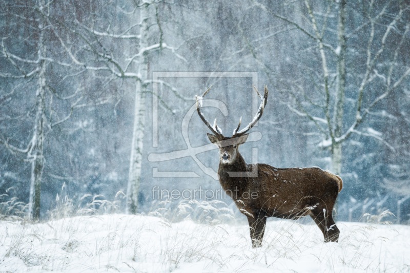 frei w&auml;hlbarer Bildausschnitt f&uuml;r Ihr Bild auf Schieferplatte