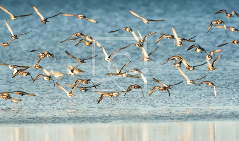 frei w&auml;hlbarer Bildausschnitt f&uuml;r Ihr Bild auf Schieferplatte