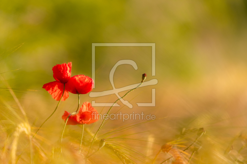 frei w&auml;hlbarer Bildausschnitt f&uuml;r Ihr Bild auf Schieferplatte