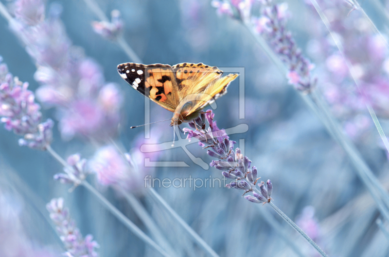 frei w&auml;hlbarer Bildausschnitt f&uuml;r Ihr Bild auf Schieferplatte